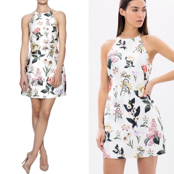 talulah reminisce mini dress